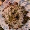 Una foto de Fried Brussels Sprouts de un restaurante