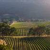 A photo of Virginia is for Wine Lovers of a restaurant