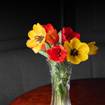 Una foto de Mother's Day at Tao Uptown de un restaurante