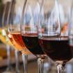 Una foto de FREE Tasting - Wine & Potato Chips de un restaurante