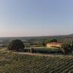 レストランのSOMMER AUSFLUG nach BOLGHERI bei Grattamacco​の写真