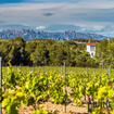 Una foto de Penedes Party! - Spanish Wine Dinner de un restaurante