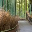 Una foto de Summer Spirits Series Part 3-Spirits of Japan de un restaurante