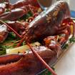 A photo of 🦞 Lobster Lovers, Rejoice! 🦞 of a restaurant