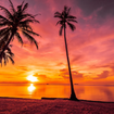 Una foto de Caribbean Night de un restaurante