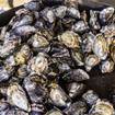 Una foto de Gourmet Tasting Trail de un restaurante