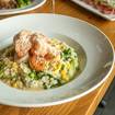 Une photo de Shrimp and Scallop Risotto d'un restaurant