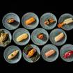 Una foto de 60 MINUTE, 12-COURSE SIGNATURE OMAKASE $65 de un restaurante