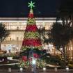 Une photo de Merrick Park Tree Lighting - Outdoor Seating d'un restaurant