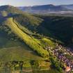 A photo of Wines of the World Series 1 - Vive La France! of a restaurant