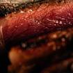 A photo of Butcher Tuesdays of a restaurant