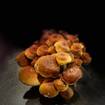 レストランのMisty Meadow Farm Mushroom Dinner​の写真