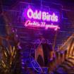 Charlotte 33 Speakeasy-Foto eines Restaurants