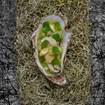 Una foto de 7-course tasting menu de un restaurante