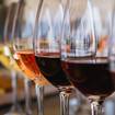 Una foto de Willamette Valley, OR - Free Tasting Event de un restaurante