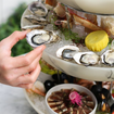 A photo of Seafood Tower for Four of a restaurant