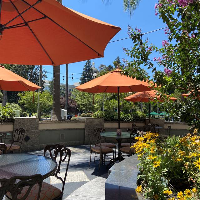 Vines - Hyatt Regency Sacramento