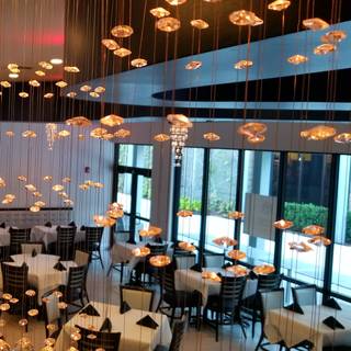 Maya Flavors Of India Restaurant Boca Raton Fl Opentable