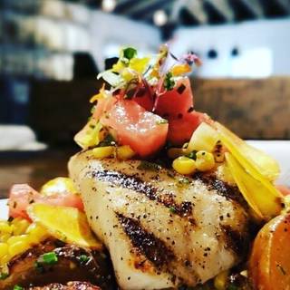10 Restaurants Near Lowry Park Zoo Opentable
