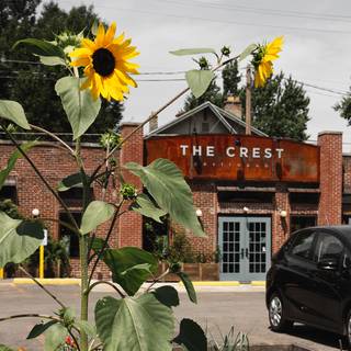 45 Restaurants Near Northern Lights Ping Center Opentable 45 Restaurants Available Nearby