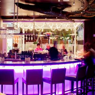 25 Restaurants Near Hyatt Regency Sarasota Opentable Quick View