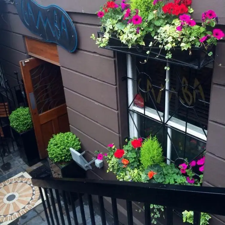 Gamba, Glasgow, 