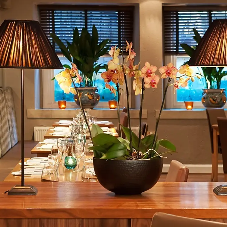 Gamba, Glasgow, 