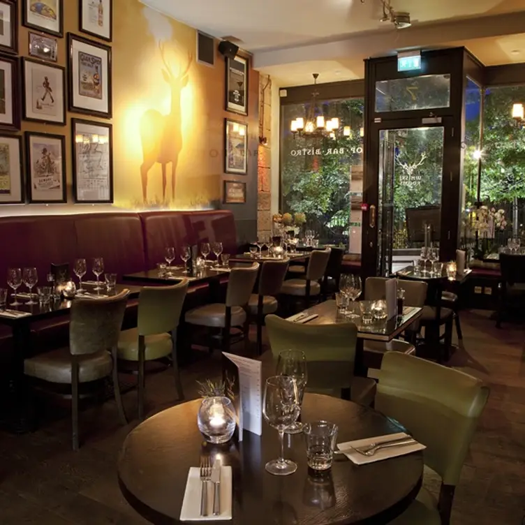 Whiski Rooms, Edinburgh, 