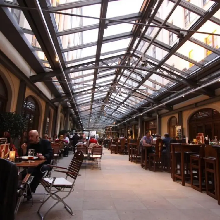 Wenzel Prager Bierstuben Dresden, Dresden, SN