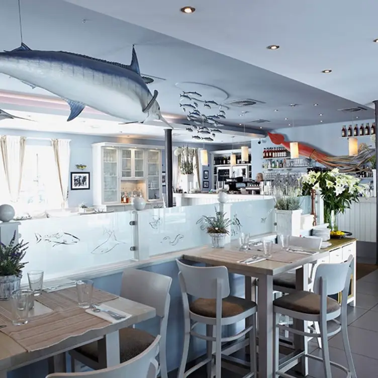 Marlin, Hamburg, HH