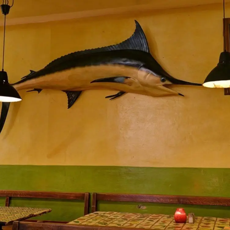 Tijuana Cafe Bar, München, BY