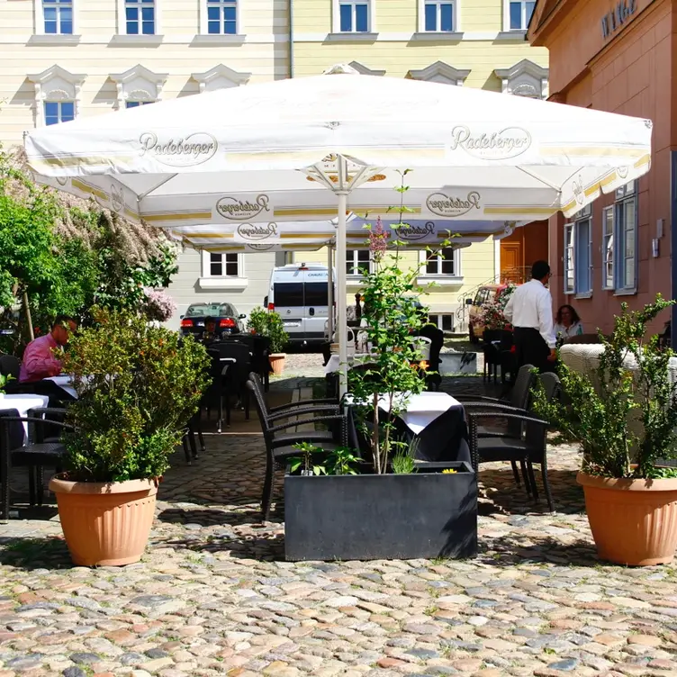 Restaurant Waage, Potsdam, BB