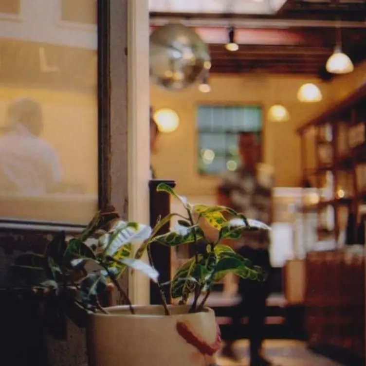 21 Greenpoint, Brooklyn, NY