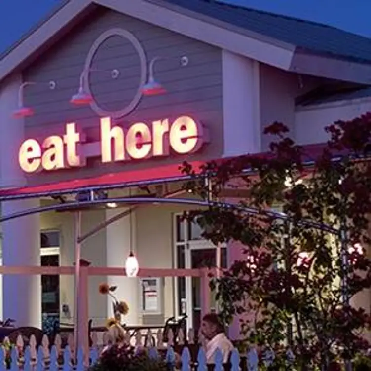 eat here - Anna Maria, Holmes Beach, FL