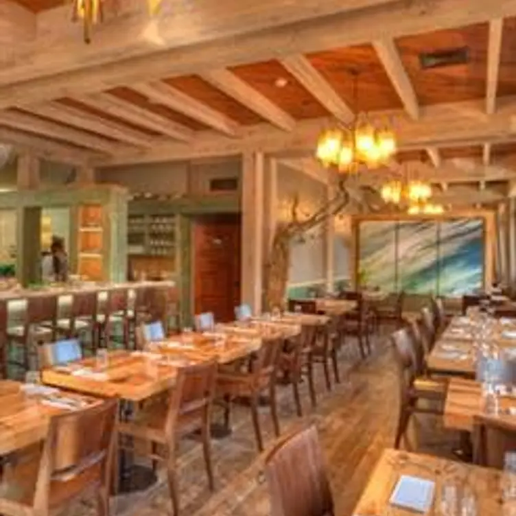 Mistral, Princeton, NJ