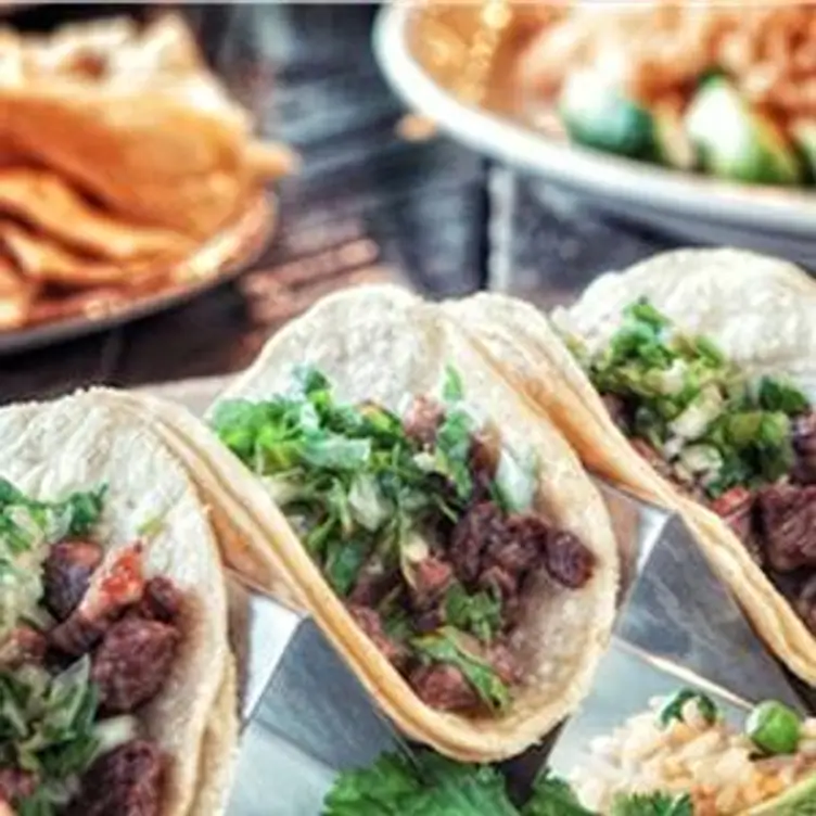 Salsa a la Salsa - Uptown - Permanently Closed, Minneapolis, MN