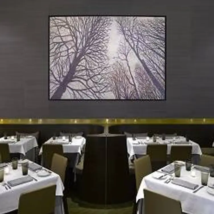 Brindille, Chicago, IL