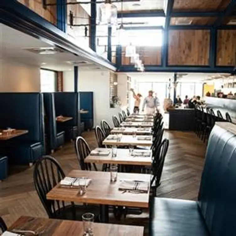 Dai Due, Austin, TX
