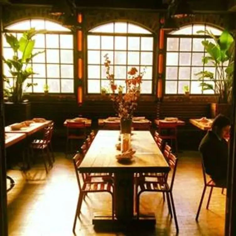 Cata, New York, NY