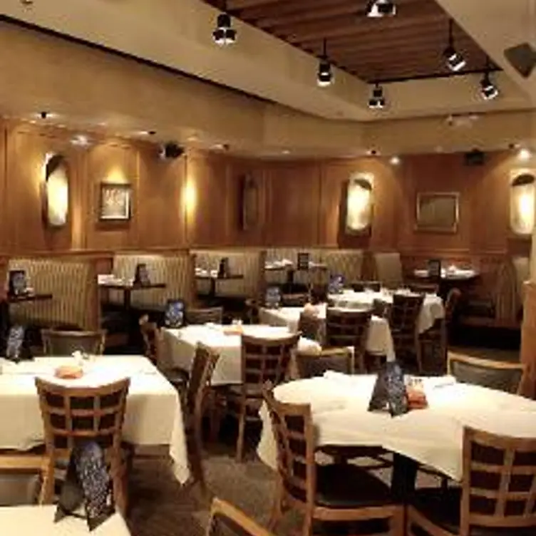 Cantina Laredo - Frisco, Frisco, TX