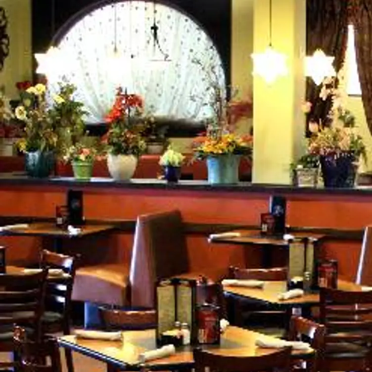 Pericos-Sonterra, San Antonio, TX