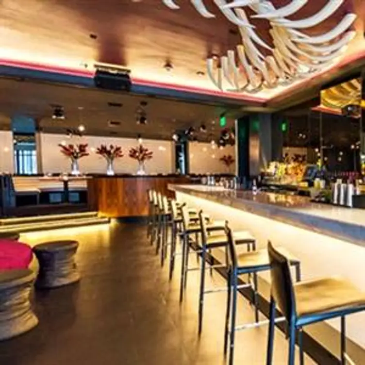 STK – Miami Beach, Miami, FL