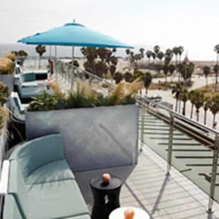 High Rooftop Lounge at Hotel Erwin photo 5