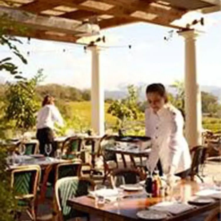 Rustic at Francis Ford Coppola Winery, Geyserville, CA