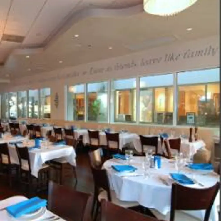 Acquolina - Weston, Weston, FL