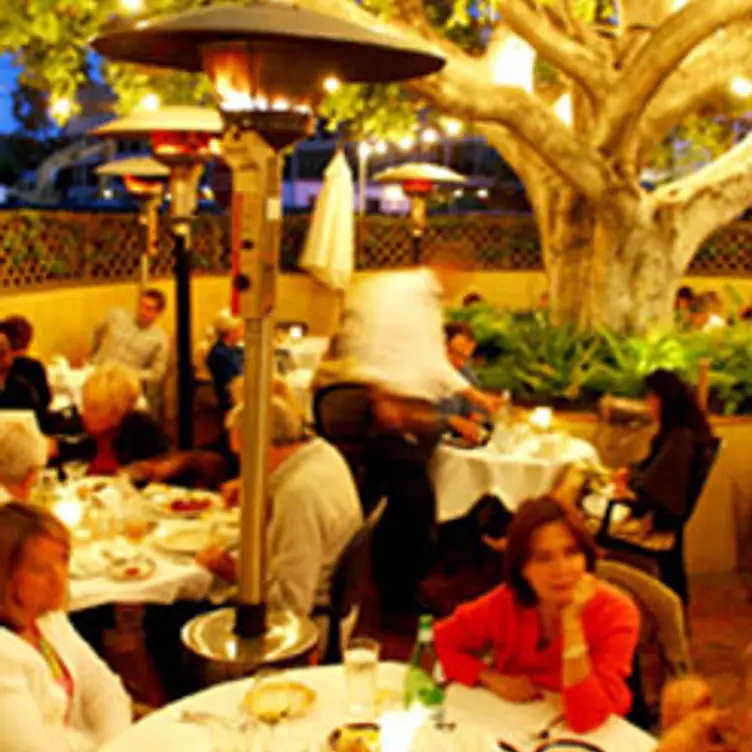 Piatti - La Jolla, La Jolla, CA