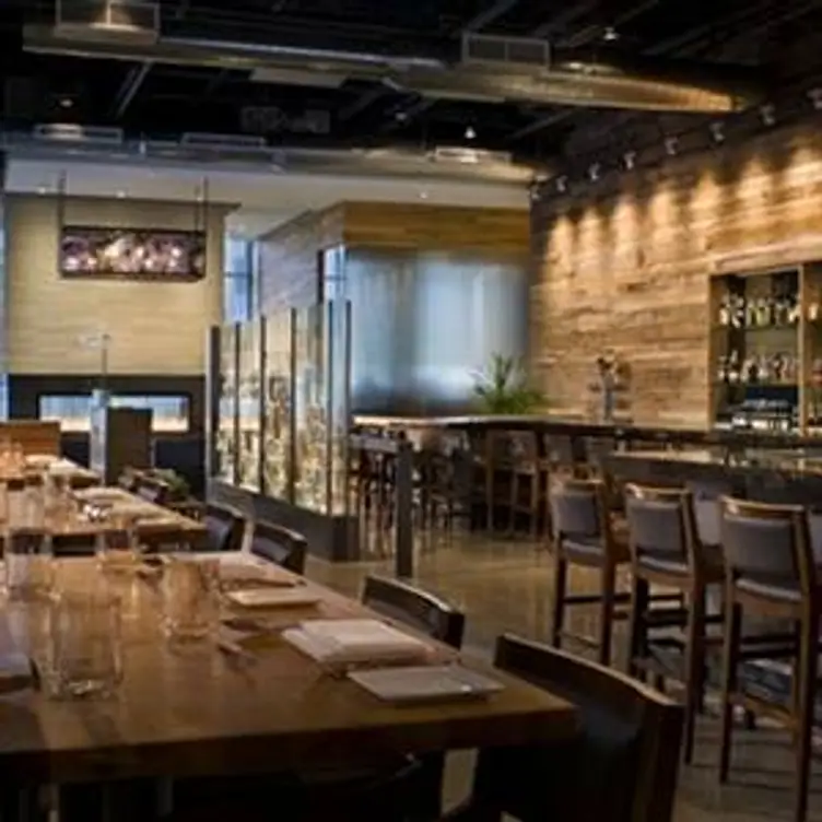 Catalyst Restaurant, Cambridge, MA