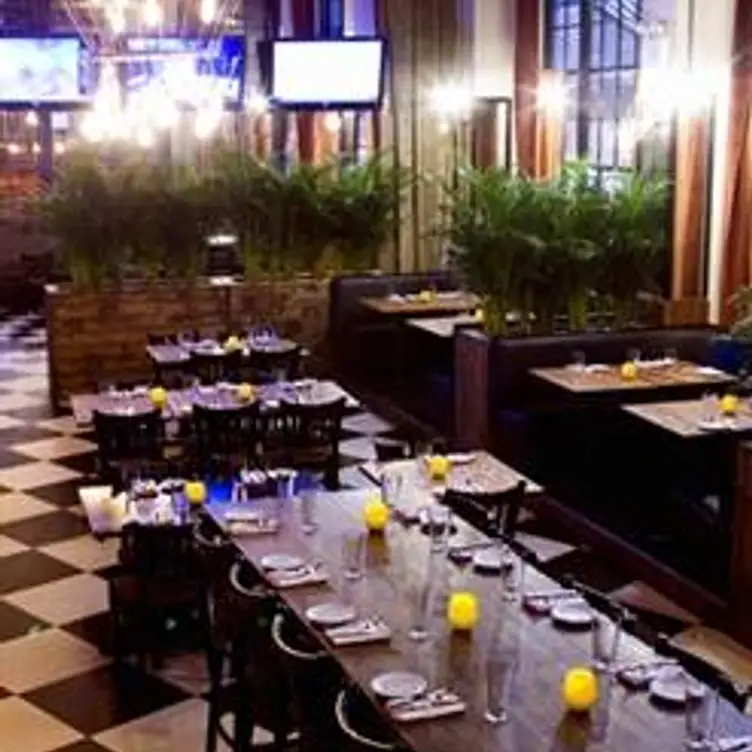 AOA Bar & Grill, New York, NY