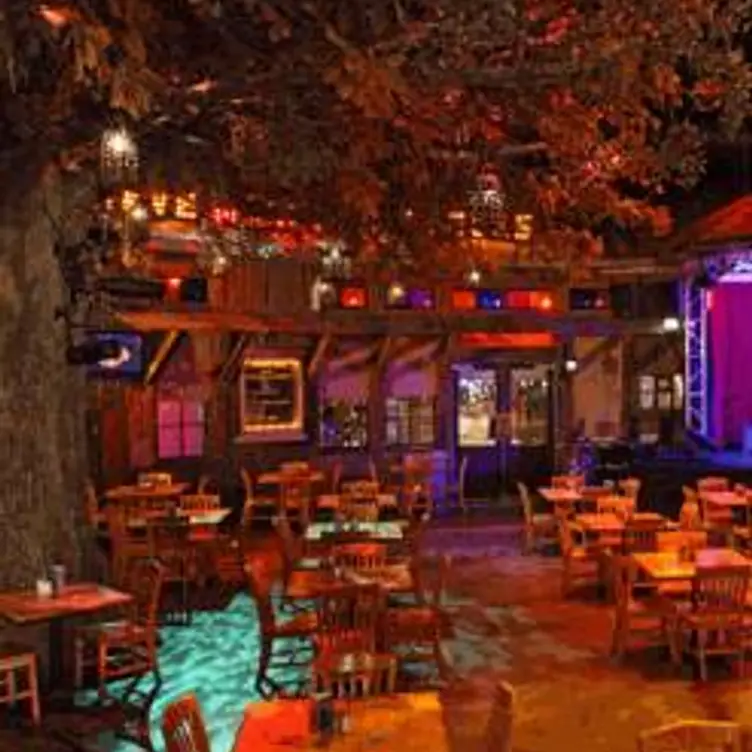 House of Blues Restaurant & Bar - Las Vegas, Las Vegas, NV