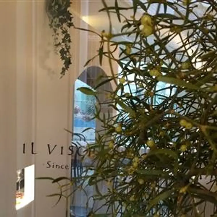 Il Vischio, Shibuya-ku, Tokyo